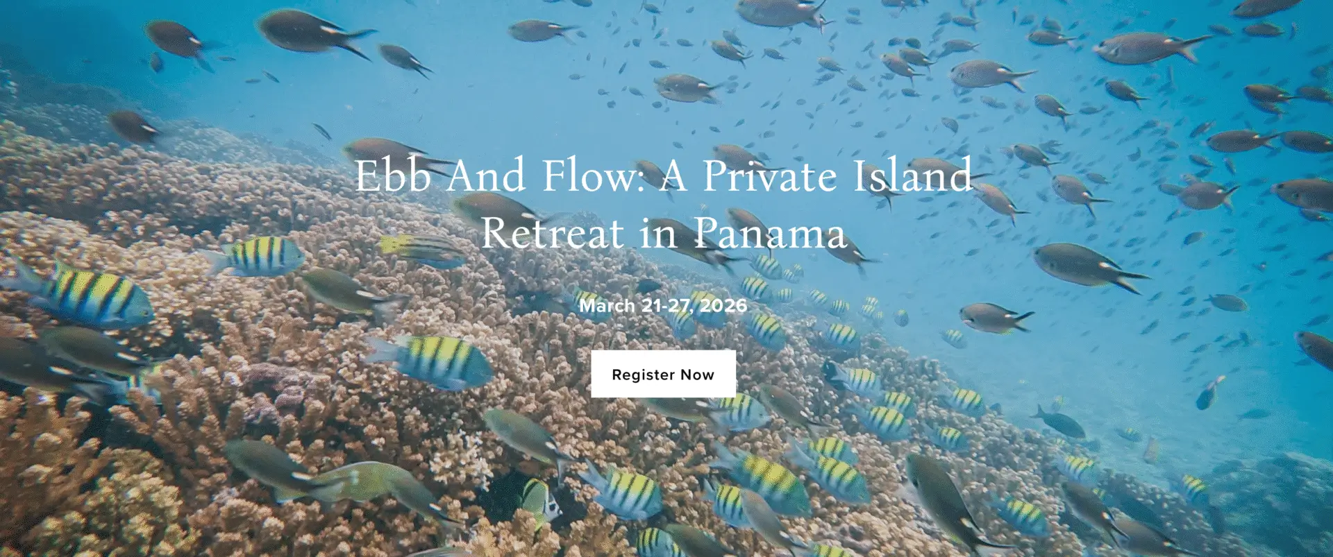 Underwater coral reef with colorful fish.